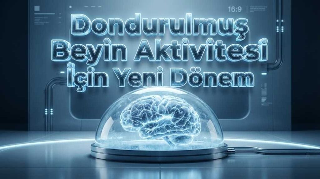 Dondurulmuş Beyin Aktivitesi İçin Yeni Dönem