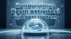 Dondurulmuş Beyin Aktivitesi İçin Yeni Dönem